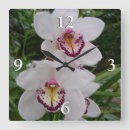 Recherche de orchids horloges Fleur