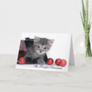 Search for purrfect christmas cards Xmas
