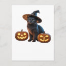 Recherche de shirt cartes postales Mignon