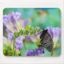 Search for monarch mousepads Purple
