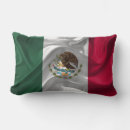Recherche de drapeau mexique coussins Amérique