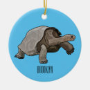 Search for tortoise ornaments Shell
