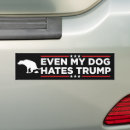 Search for anti trump bumper stickers Kamala harris