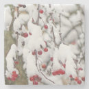 Search for winter snow scene coasters Nature