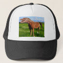 Search for blends hats Funny