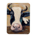 Search for cow animal magnets Cows