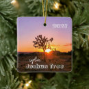 Search for joshua ornaments Sunset