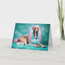 Search for afghans cards Afghan hound