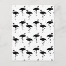 Recherche de flamand rose cartes postales Floride