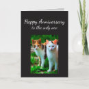 Search for cat anniversary cards Kittens