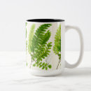 Recherche de motif plante tasses Fougère