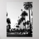 Search for cool trees posters Palm