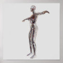 Recherche de cava posters Illustration