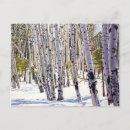 Search for winter painting postcards Skiing