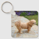 Search for lhasa apso keychains Animal