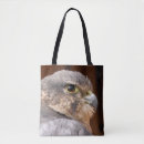 Search for falcons bags Bird of prey