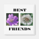Search for template magnets Cute