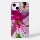 Search for pink azalea electronics Botanical