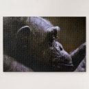 Recherche de chimpanzé puzzles Animal