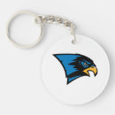Search for falcons keychains Bentley university falcons