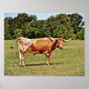 Search for texas longhorn art Farm
