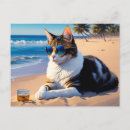 Recherche de whisky cartes postales Chat