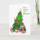 Search for apso cards Animals
