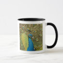 Search for strutting mugs Wildlife