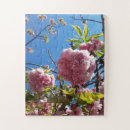 Search for cherry tree puzzles Flower