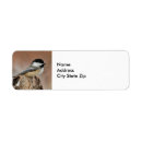 Search for chickadee bird return address labels Songbird