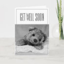 Search for teddy bear get well cards Hospital