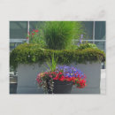 Recherche de pots de fleur photographie Photographe