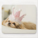 Search for 1 3 mousepads Photography