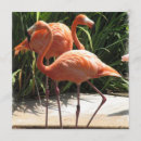 Search for flocking invitations Tropical