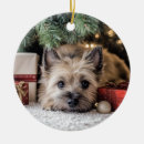 Search for cairn terrier ornaments Pet