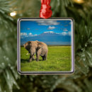 Search for tanzania ornaments Mt kilimanjaro