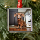 Search for mini ornaments Animal