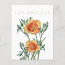 Search for midcentury postcards California