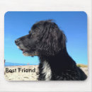 Search for beach love electronics Animal