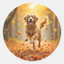 Search for autumn dog stickers Leaves