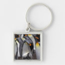 Search for penguin photo keychains Animal