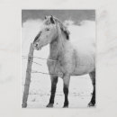 Search for winter white postcards Animals