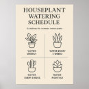 Search for houseplants posters Minimalist