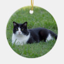 Search for tuxedo cat ornaments Black and white