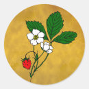 Search for wild berries stickers Fruit