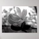 Recherche de copies encadrées posters Floral
