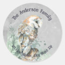 Search for barn owl stickers Watercolor