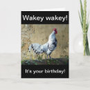 Recherche de jeune coq cartes postales Pour tous