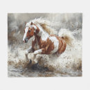 Search for horse blankets Pinto
