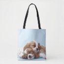 Search for cavalier king charles spaniel tote bags Pets